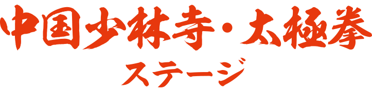 中国少林寺・太極拳ステージ